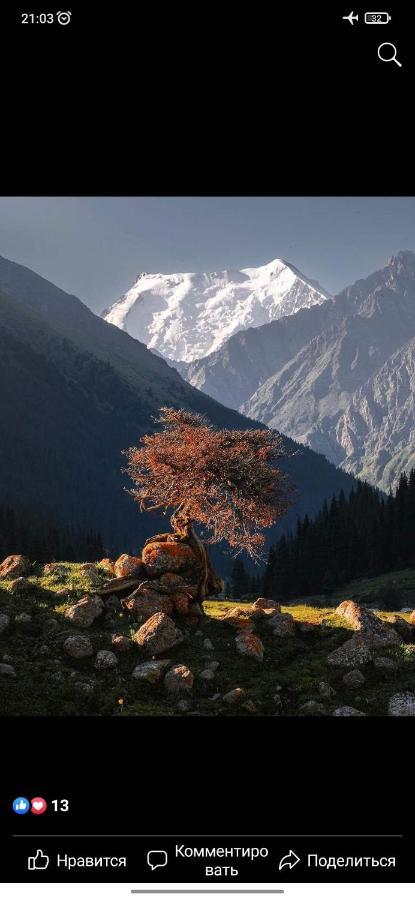 Ala-Kul Guesthouse In Altyn-Arashan Каракол Екстер'єр фото