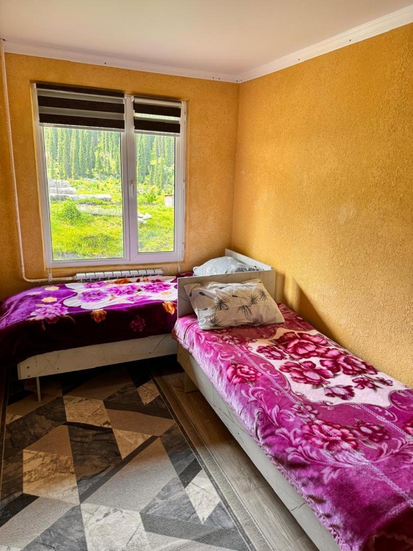 Ala-Kul Guesthouse In Altyn-Arashan Каракол Екстер'єр фото