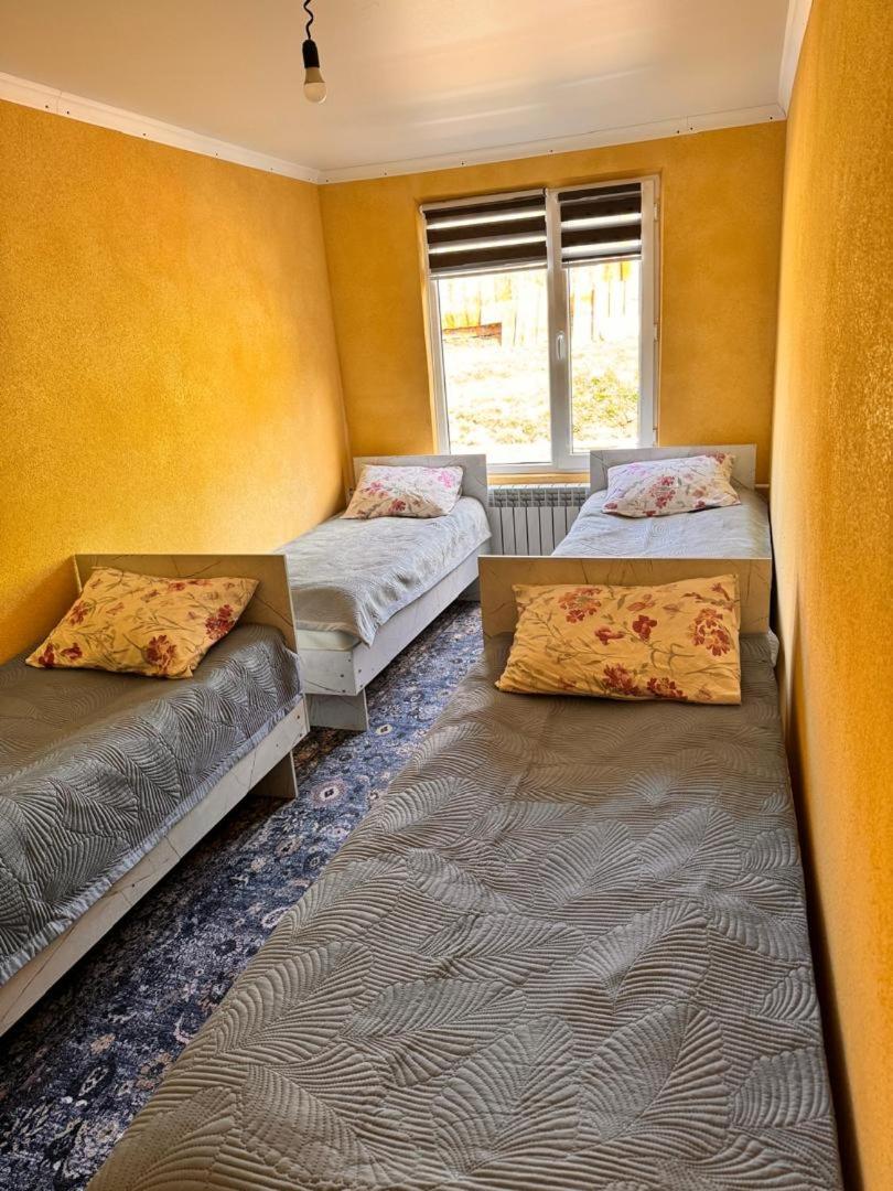 Ala-Kul Guesthouse In Altyn-Arashan Каракол Екстер'єр фото