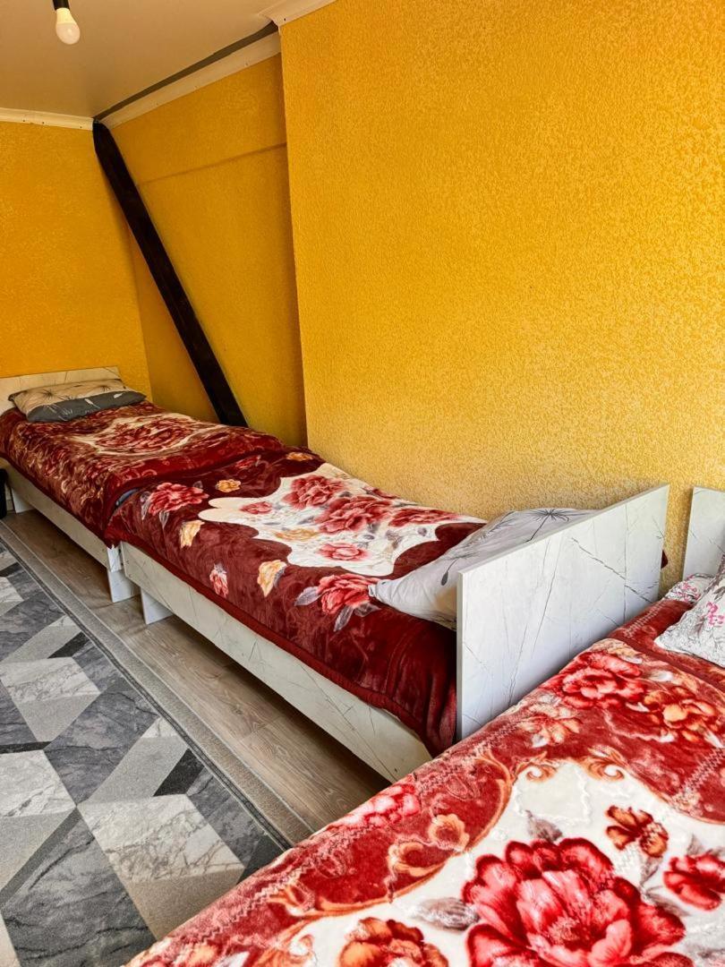 Ala-Kul Guesthouse In Altyn-Arashan Каракол Екстер'єр фото